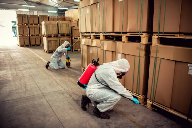 Best Rat Extermination Near Me  in Point Venture, TX