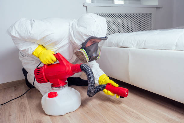 Best Affordable Pest Control Services  in Point Venture, TX