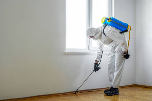Best Best Pest Control Companies  in Point Venture, TX
