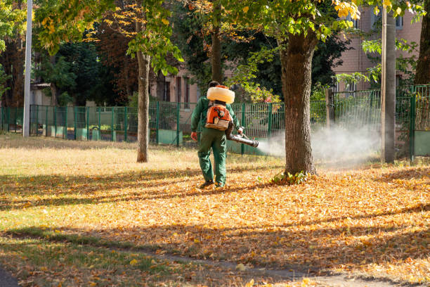 Best Pest Prevention Services  in Point Venture, TX