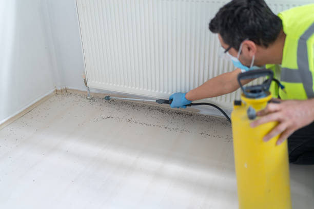 Pest Control Cost in Point Venture, TX