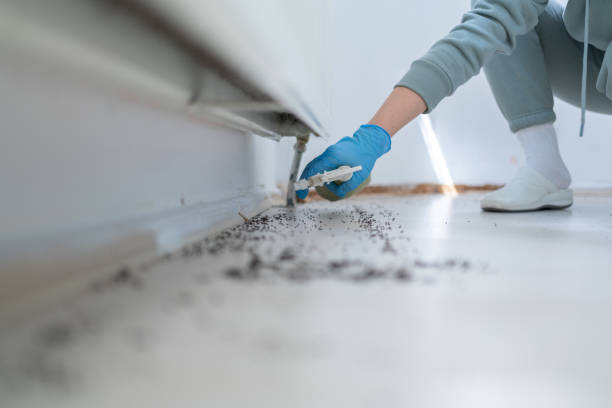 Best Affordable Pest Control Services  in Point Venture, TX